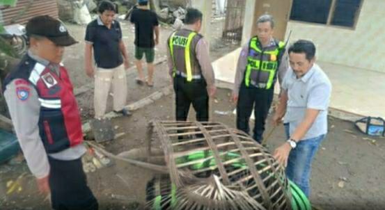 “POLRESTA SIDOARJO POLDA JAWA TIMUR BERHASIL MEMBONGKAR DUA ARENA JUDI SABUNG AYAM DI DESA JATIKALANG DAN DESA KEMANGSEN – SARANA PERMAINAN TERLARANG DIBONGKAR DAN DIBAKAR, POLISI SERU PERAN SEMA MASYARAKAT UNTUK MEMBERANTAS PERJUDIAN”